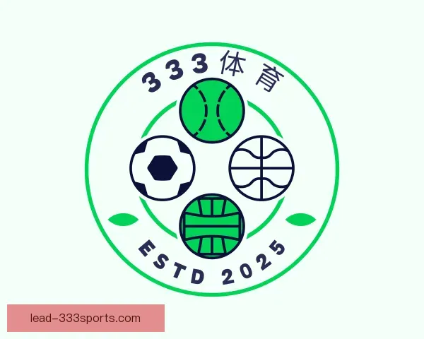 认识333体育